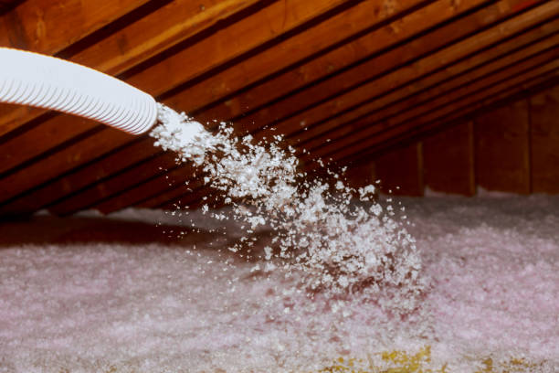 Best Insulation Replacement Services  in Cool Valley, MO