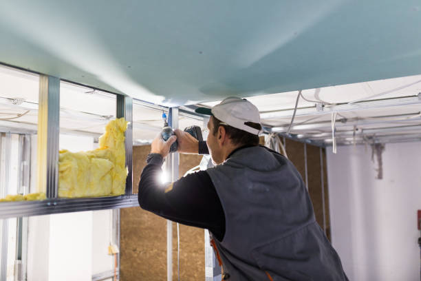 Insulation Repair Services in Cool Valley, MO