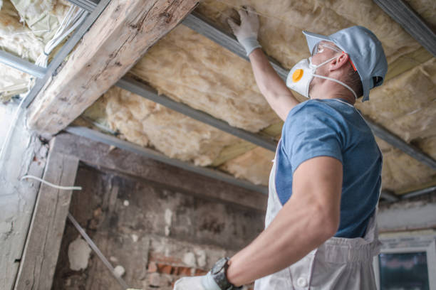 Best Insulation for New Construction  in Cool Valley, MO