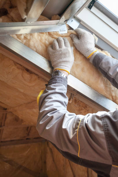 Best Soundproof Insulation Installation  in Cool Valley, MO