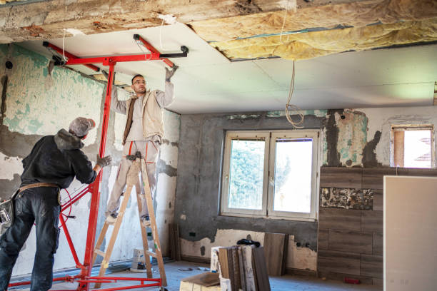 Best Insulation Repair Services  in Cool Valley, MO