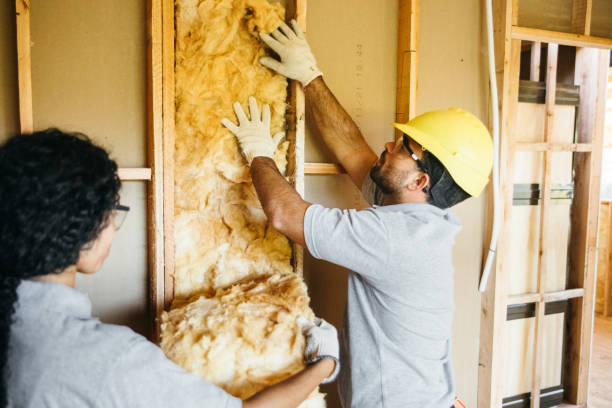 Best Insulation Contractor Near Me  in Cool Valley, MO