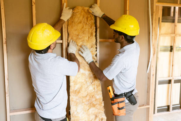 Best Attic Insulation Installation  in Cool Valley, MO