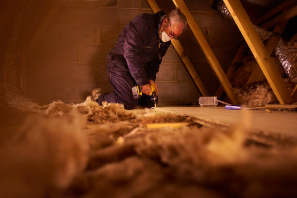 Best Blown-in Insulation  in Cool Valley, MO